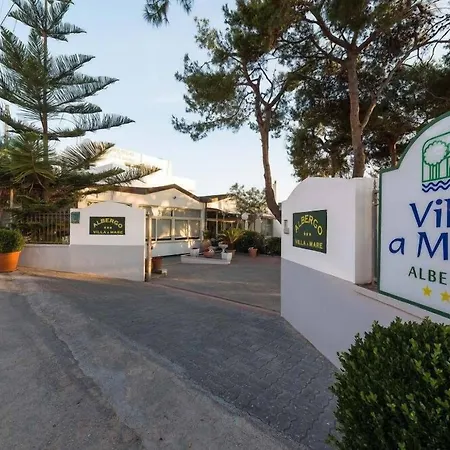 A Mare بيسْكيتْشّي